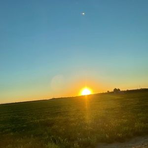 Meet your Posher, Marley